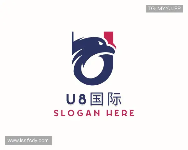 关于U8国际